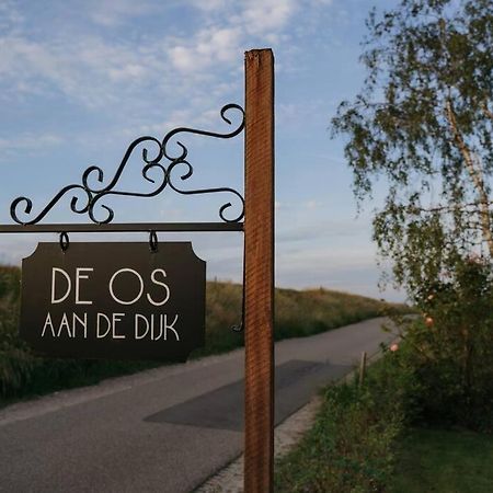 De Os Aan De Dijk Villa Grafhorst Ngoại thất bức ảnh
